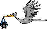 flyingstork.gif